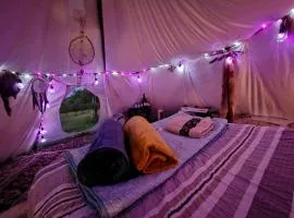 Romantic Wildlife & Stars Teepee Experience Apuseni Mountains
