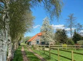 B&B Vinkeling