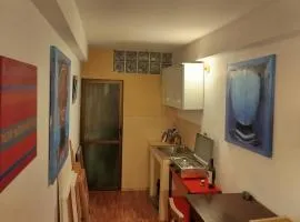Slim art apartment