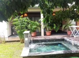 Villa Hibiscus à Saint-Philippe: Élégance tropicale, 2 chambres, spa privatif et cuisine équipée - FR-1-786-3