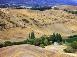 Tiny home on wheels in the vines