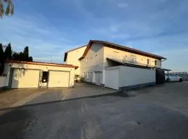 Ferienwohnung Villa Bachfischer