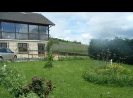 Maison au milieu des vignes