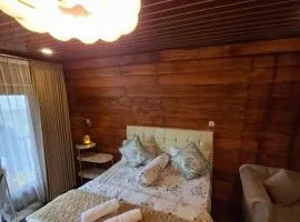 Langit dieng cabin