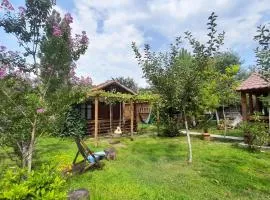 Tiny houses Genacvale