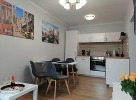 Apartament Toruńska