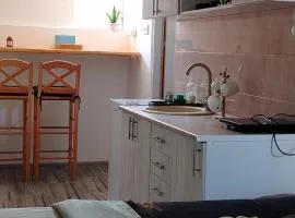 Apartman Boba Vrnjačka Banja