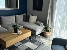 Pokoje I Apartamenty Polna 19