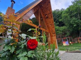 Cabana AFrame Olanesti，百樂&middot;奧拉內斯蒂的木屋