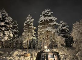 Aurora Igloo with private hot tub by Invisible Forest Lodge, hotel i Rovaniemi