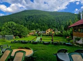 Pensiunea Rossvillas!!, hotel v destinaci Lepşa