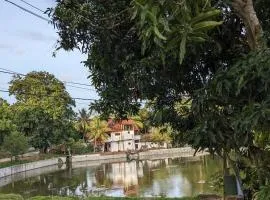Lake View Home stay
