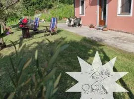 Pizinno CasaPonzi