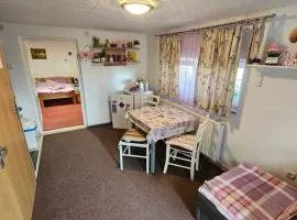 Studio apartman Big Lili