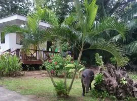 Susan Bungalow#1 Bahía Drake, Corcovado Familia Amaya