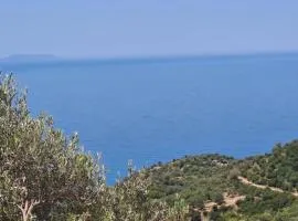 Adriatik Apartments AA