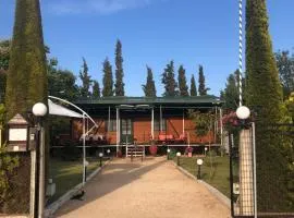 Wagon AXD
