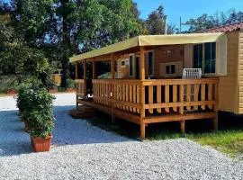 Comfortable campsite-chalet G12 Tuscany near sea