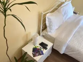 Green ToniC Hostel