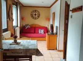 charmant appartement 2-4 personnes coeur de chamonix