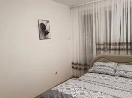 Stan u centru Bijeljine, 38m2, luksuzno opremljen, internet, kablovska, klima