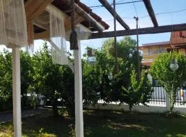 Ta Spitakia Olympiada