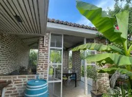 Casa Mediterana