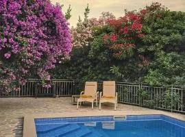 Villa Sazanka with private pool