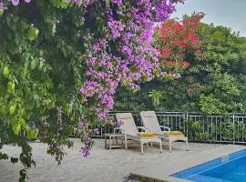 Villa Sazanka with private pool