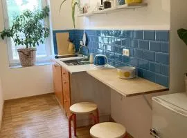 Little Fine Apartment close to Leipzig