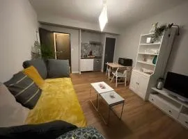 Saint-Girons, charmant studio en plein centre