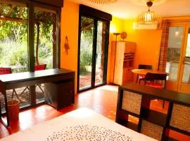 Studio Orange Oasis
