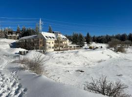 Appartement au pied des pistes avec grande terrasse, hotelli kohteessa Orbey