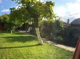 Casa Ani