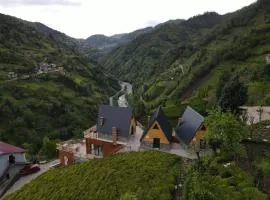 Puleri Dağevi&BUNGALOW