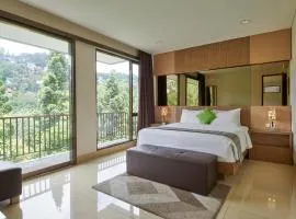 Tulip Hill View Villa 6 bedrooms with a private swimming pool and movie room