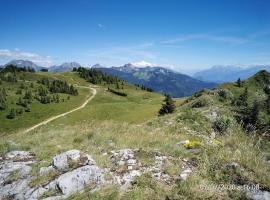 appartement montagne la vallée verte cœur station Hirmentaz, hotel i Bellevaux