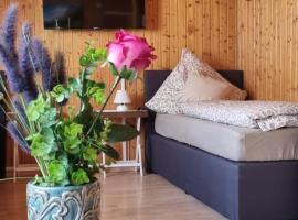 City Apartment Triberg, hotel in Triberg