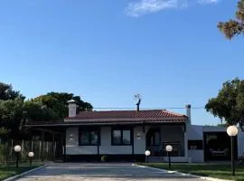 nemo's house