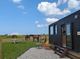 Tiny House La Cavalerie, au milieu des chevaux !، فندق في Annouville-Vilmesnil