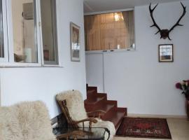 Bucegi View, hotel en Bușteni