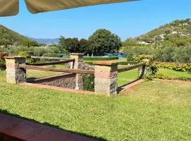 Sant'Anna del Volterraio - Margherite 5