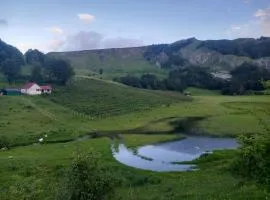 Jezerca Wild Beauty