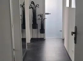 E&S Apartments 1