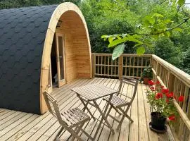 LOGEMENT INSOLITE Pod sur Pilotis