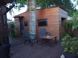 Tiny House plein centre