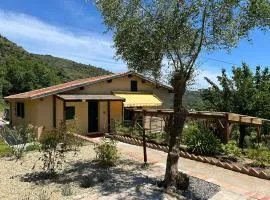 La Casa negli Ulivi, con piscina