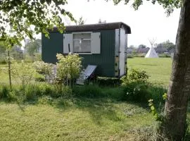 Gezellige en frisse pipowagen bij Zutphen en IJssel