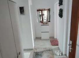 Sokobanja na dlanu