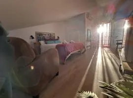 Alojamiento Magallanes